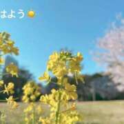 ヒメ日記 2025/04/14 07:22 投稿 さやか CLASSY.東京・錦糸町店