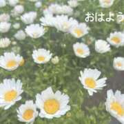 ヒメ日記 2025/04/17 07:12 投稿 さやか CLASSY.東京・錦糸町店