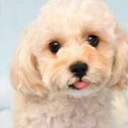 ヒメ日記 2025/04/21 10:22 投稿 さやか CLASSY.東京・錦糸町店