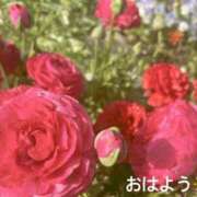 ヒメ日記 2025/04/23 07:42 投稿 さやか CLASSY.東京・錦糸町店