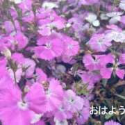 ヒメ日記 2025/04/27 08:02 投稿 さやか CLASSY.東京・錦糸町店