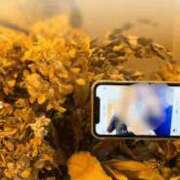 ヒメ日記 2025/04/27 11:32 投稿 さやか CLASSY.東京・錦糸町店