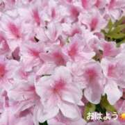 ヒメ日記 2025/05/01 07:32 投稿 さやか CLASSY.東京・錦糸町店