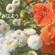 ヒメ日記 2025/05/04 07:52 投稿 さやか CLASSY.東京・錦糸町店