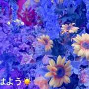 ヒメ日記 2025/05/09 07:42 投稿 さやか CLASSY.東京・錦糸町店