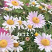 ヒメ日記 2025/05/14 07:32 投稿 さやか CLASSY.東京・錦糸町店