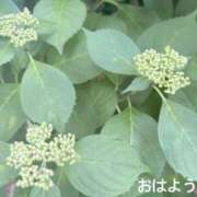 ヒメ日記 2025/05/15 07:22 投稿 さやか CLASSY.東京・錦糸町店