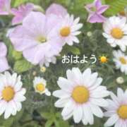 ヒメ日記 2025/05/16 07:32 投稿 さやか CLASSY.東京・錦糸町店