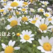 ヒメ日記 2025/05/22 07:22 投稿 さやか CLASSY.東京・錦糸町店