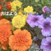 ヒメ日記 2025/05/24 08:32 投稿 さやか CLASSY.東京・錦糸町店