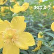 ヒメ日記 2025/05/28 07:12 投稿 さやか CLASSY.東京・錦糸町店