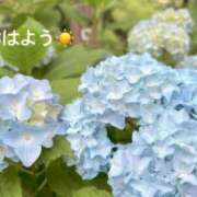 ヒメ日記 2025/05/29 07:22 投稿 さやか CLASSY.東京・錦糸町店