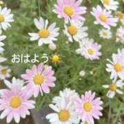 ヒメ日記 2025/05/30 07:22 投稿 さやか CLASSY.東京・錦糸町店