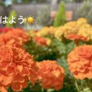 ヒメ日記 2025/06/01 07:12 投稿 さやか CLASSY.東京・錦糸町店