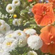 ヒメ日記 2025/06/03 07:32 投稿 さやか CLASSY.東京・錦糸町店