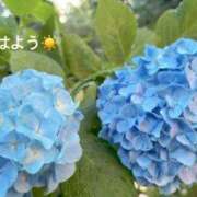 ヒメ日記 2025/06/07 07:32 投稿 さやか CLASSY.東京・錦糸町店