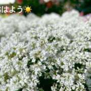 ヒメ日記 2025/06/08 07:32 投稿 さやか CLASSY.東京・錦糸町店