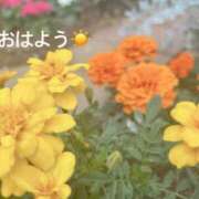 ヒメ日記 2025/06/09 07:32 投稿 さやか CLASSY.東京・錦糸町店