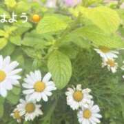 ヒメ日記 2025/06/10 07:22 投稿 さやか CLASSY.東京・錦糸町店