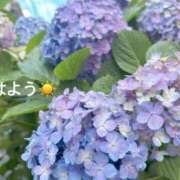 ヒメ日記 2025/06/13 07:22 投稿 さやか CLASSY.東京・錦糸町店