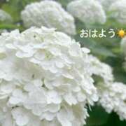 ヒメ日記 2025/06/14 07:22 投稿 さやか CLASSY.東京・錦糸町店