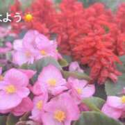 ヒメ日記 2025/06/15 07:22 投稿 さやか CLASSY.東京・錦糸町店