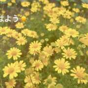 ヒメ日記 2025/06/17 07:32 投稿 さやか CLASSY.東京・錦糸町店