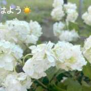 ヒメ日記 2025/06/26 07:12 投稿 さやか CLASSY.東京・錦糸町店