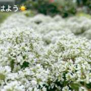 ヒメ日記 2025/07/01 07:12 投稿 さやか CLASSY.東京・錦糸町店