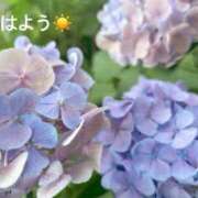 ヒメ日記 2025/07/03 07:32 投稿 さやか CLASSY.東京・錦糸町店