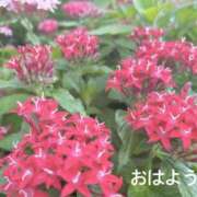 ヒメ日記 2025/07/04 07:22 投稿 さやか CLASSY.東京・錦糸町店