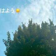 ヒメ日記 2025/07/06 07:12 投稿 さやか CLASSY.東京・錦糸町店