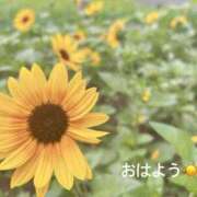 ヒメ日記 2025/07/09 07:22 投稿 さやか CLASSY.東京・錦糸町店