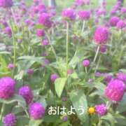 ヒメ日記 2025/07/10 07:22 投稿 さやか CLASSY.東京・錦糸町店