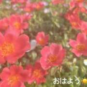 ヒメ日記 2025/07/11 07:12 投稿 さやか CLASSY.東京・錦糸町店