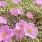 ヒメ日記 2025/07/12 09:42 投稿 さやか CLASSY.東京・錦糸町店