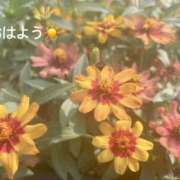 ヒメ日記 2025/07/13 07:22 投稿 さやか CLASSY.東京・錦糸町店