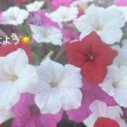 ヒメ日記 2025/07/14 07:21 投稿 さやか CLASSY.東京・錦糸町店