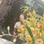 ヒメ日記 2025/07/15 15:52 投稿 さやか CLASSY.東京・錦糸町店