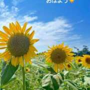 ヒメ日記 2025/07/16 07:42 投稿 さやか CLASSY.東京・錦糸町店