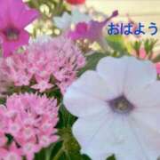 ヒメ日記 2025/07/28 07:32 投稿 さやか CLASSY.東京・錦糸町店