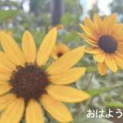 ヒメ日記 2025/07/29 07:12 投稿 さやか CLASSY.東京・錦糸町店