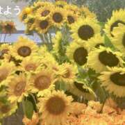 ヒメ日記 2025/08/07 07:12 投稿 さやか CLASSY.東京・錦糸町店