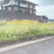 ヒメ日記 2025/08/07 16:12 投稿 さやか CLASSY.東京・錦糸町店