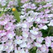 ヒメ日記 2025/08/09 07:22 投稿 さやか CLASSY.東京・錦糸町店