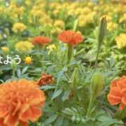 ヒメ日記 2025/08/14 07:12 投稿 さやか CLASSY.東京・錦糸町店