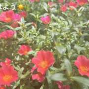 ヒメ日記 2025/08/17 07:42 投稿 さやか CLASSY.東京・錦糸町店