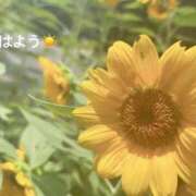 ヒメ日記 2025/08/26 07:32 投稿 さやか CLASSY.東京・錦糸町店