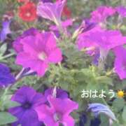 ヒメ日記 2025/09/03 07:12 投稿 さやか CLASSY.東京・錦糸町店