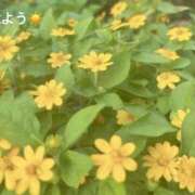 ヒメ日記 2025/09/04 07:12 投稿 さやか CLASSY.東京・錦糸町店